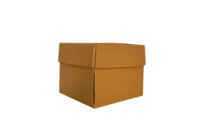 Regular Brown/Kraft Recyclable Octagon Burger Boxes