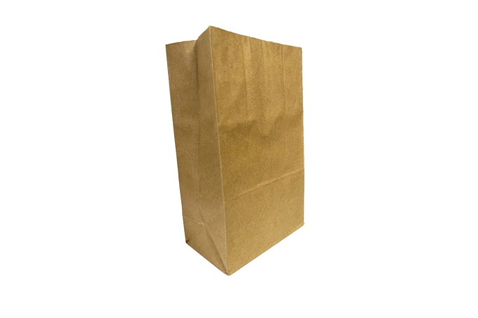 Extra Long Brown/Kraft Paper Biodegradable Grab Bags