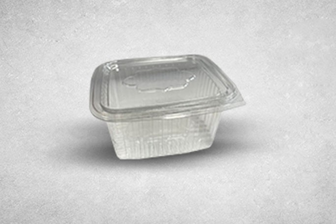 500ml Clear Plastic Recyclable Hinged Containers
