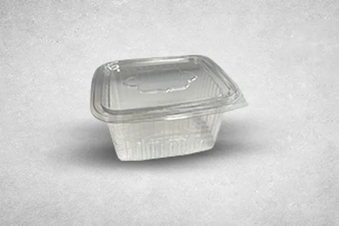 500ml Clear Plastic Recyclable Hinged Containers