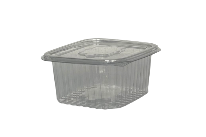 375ml Clear Plastic Recyclable Hinged Containers