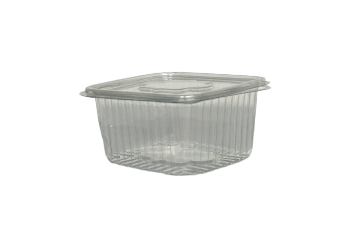 New 500ml Clear Plastic Recyclable Hinged Containers