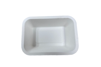 Regular Bagasse Biodegradable Shallow Chip Trays