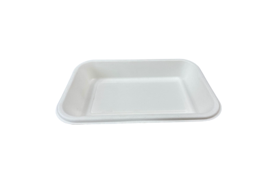 Regular Bagasse Biodegradable Shallow Chip Trays
