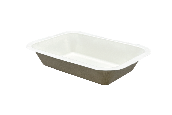 Small Bagasse Biodegradable Chip Trays
