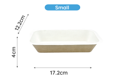 Small Bagasse Biodegradable Chip Trays