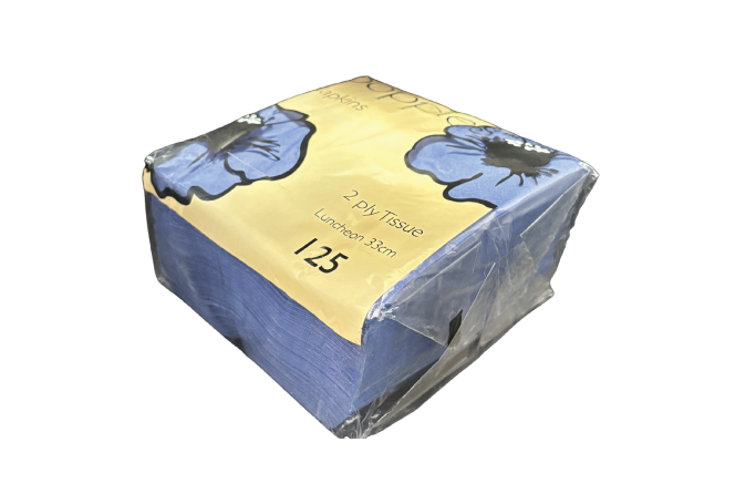 33cm Baby Blue Paper Biodegradable Luxury 2PLY Napkins