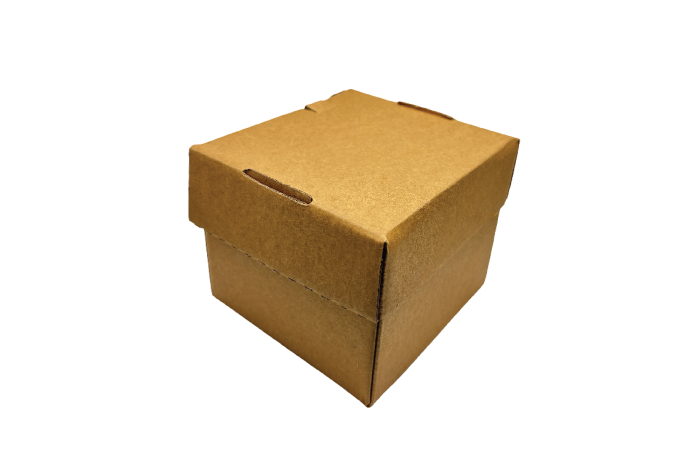 Regular Brown/Kraft Recyclable Octagon Burger Boxes