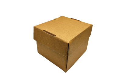 Regular Brown/Kraft Recyclable Octagon Burger Boxes