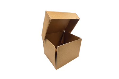 Regular Brown/Kraft Recyclable Octagon Burger Boxes