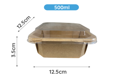 500ml Kraft Square Combo Meal Boxes & Lids