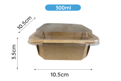 300ml Kraft Square Combo Meal Boxes & Lids
