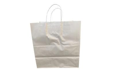 Medium White Paper Biodegradable Twist Handle Bags