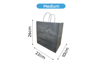 Medium Black Paper Biodegradable Twist Handle Bags