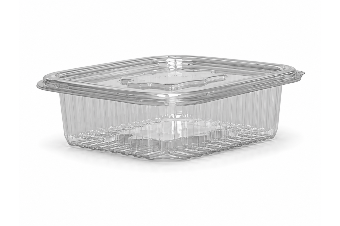 250ml Clear Plastic Recyclable Hinged Containers