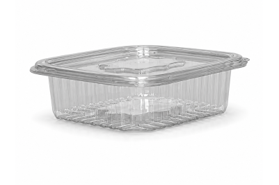 250ml Clear Plastic Recyclable Hinged Containers