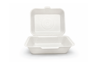 IP10 (HP3) Large Lunch Box