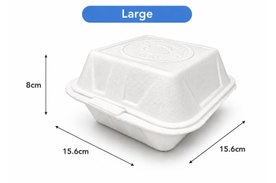 IP6 Large Burger Boxes