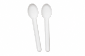 Bagasse Biodegradable Spoons