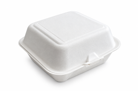 6″ White Bagasse...