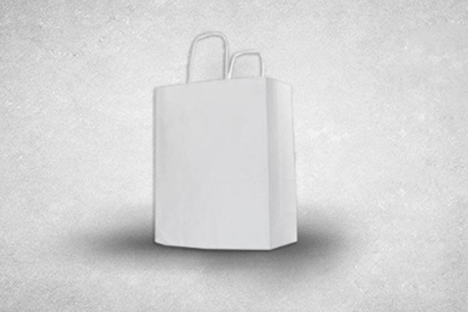 Medium White Paper Biodegradable Twist Handle Bags