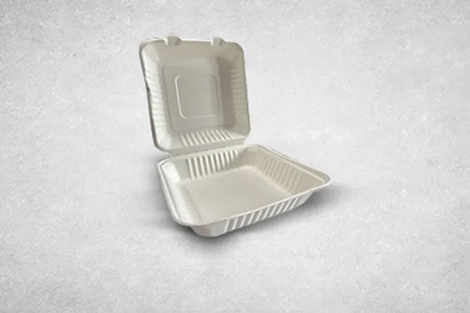9″ White Bagasse Biodegradable Clamshell Boxes